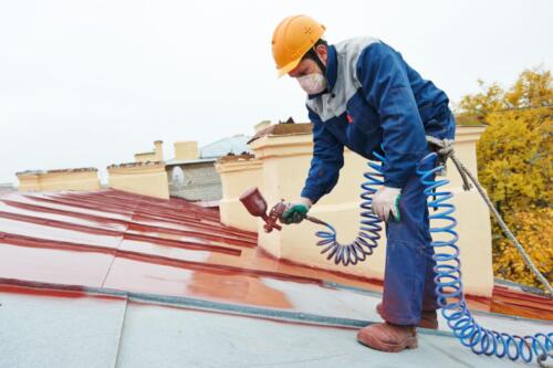 Roof Painting Project